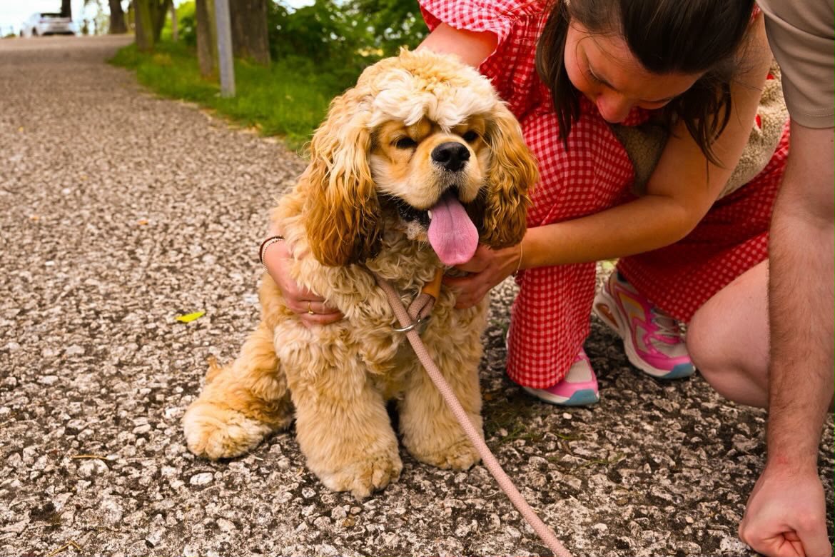 Huisdierenfotografie — Beste Maatjes